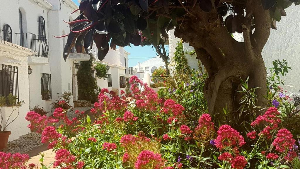 Apartamento Capistrano Village Nerja Εξωτερικό φωτογραφία